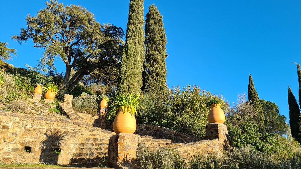 GolfeStTropez's tweet photo. #BlueMonday on préfère parler du Monday blue dans le #GolfeStTropez 💙☀️😉
La belle vie au #RayolCanadel
👉https://t.co/47kmramCs6

#MondayMotivation #Landscapes #MagnifiqueFrance https://t.co/V4IsRMxgyt