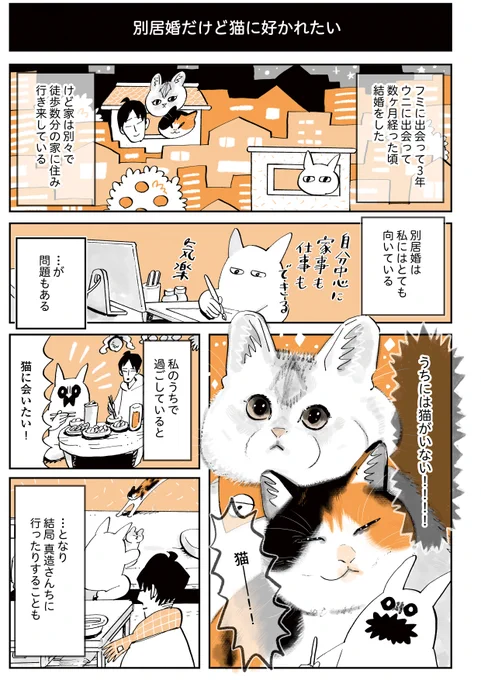 『別居婚でも猫に好かれたい』
(1/2) 