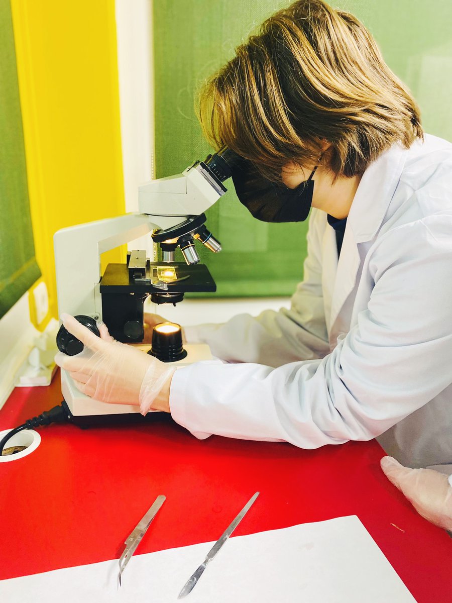 ColegioBristol's tweet photo. Back at the lab 🥼🧫🔬! Los alumnos de 1º Bach C han preparado muestras histológicas en el laboratorio para observar los núcleos de las células animales y su diferencia con las células vegetales 🧐. ¡Qué interesante! Todas sus fotos ya disponibles en fototeca 📷. #labpractice https://t.co/nuogmngYjj