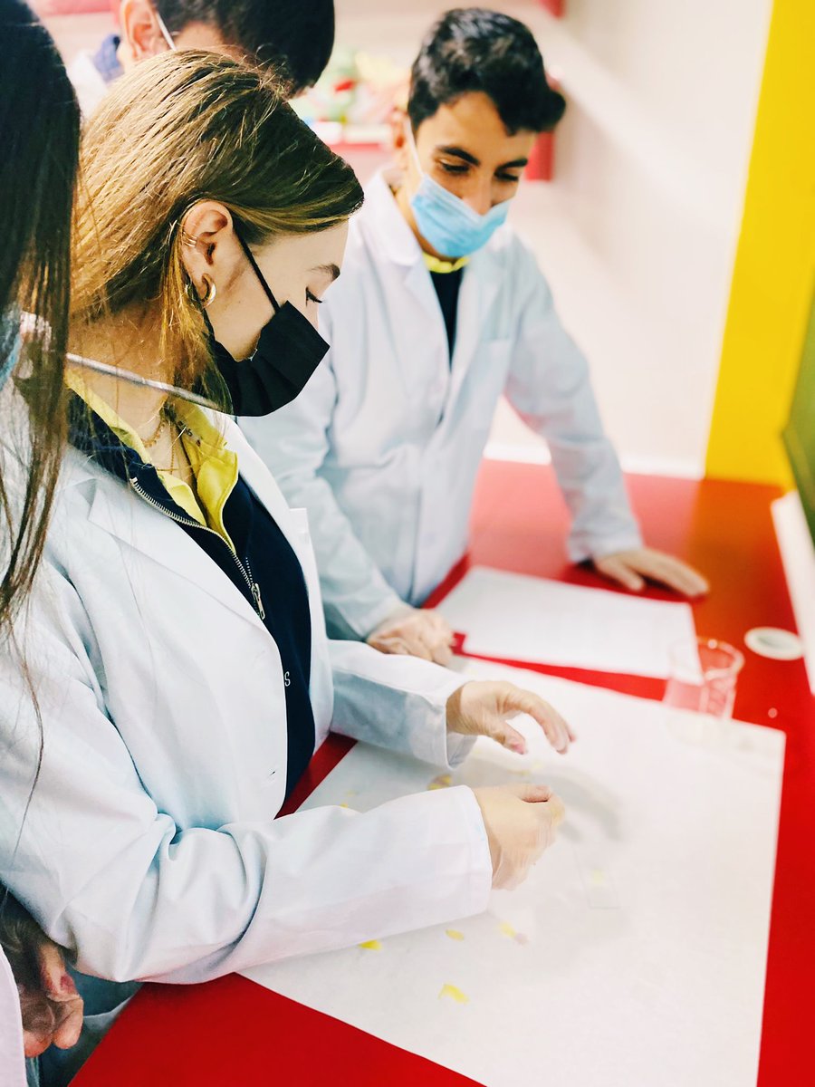 ColegioBristol's tweet photo. Back at the lab 🥼🧫🔬! Los alumnos de 1º Bach C han preparado muestras histológicas en el laboratorio para observar los núcleos de las células animales y su diferencia con las células vegetales 🧐. ¡Qué interesante! Todas sus fotos ya disponibles en fototeca 📷. #labpractice https://t.co/nuogmngYjj