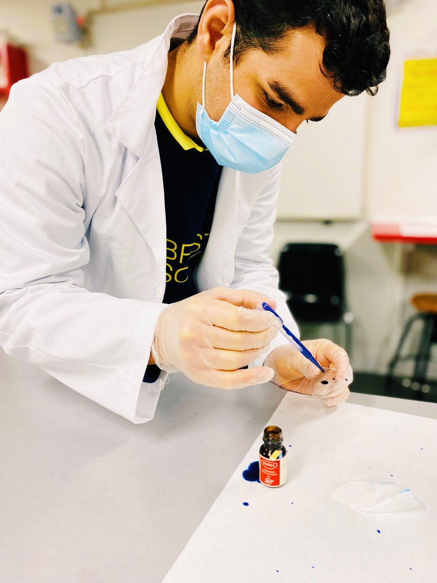 ColegioBristol's tweet photo. Back at the lab 🥼🧫🔬! Los alumnos de 1º Bach C han preparado muestras histológicas en el laboratorio para observar los núcleos de las células animales y su diferencia con las células vegetales 🧐. ¡Qué interesante! Todas sus fotos ya disponibles en fototeca 📷. #labpractice https://t.co/nuogmngYjj