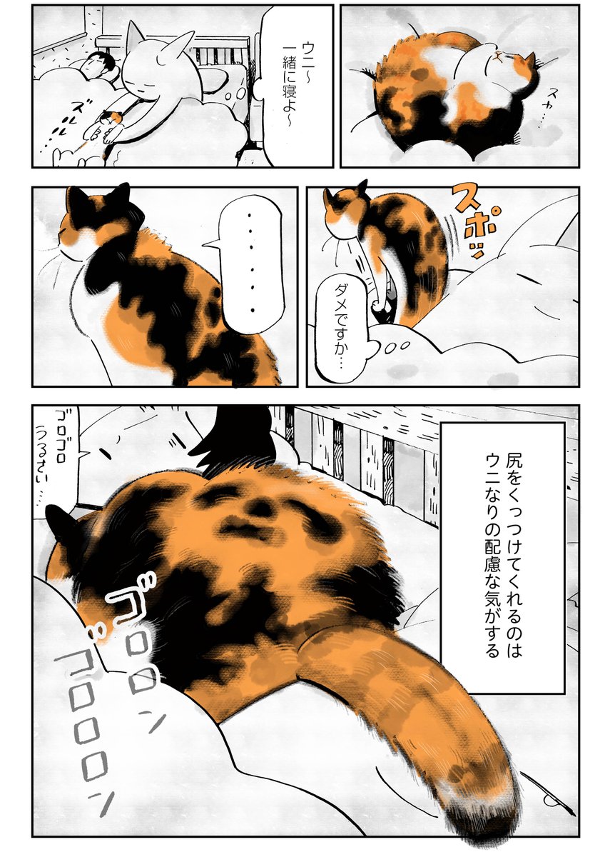 『別居婚でも猫に好かれたい』
(2/2) 