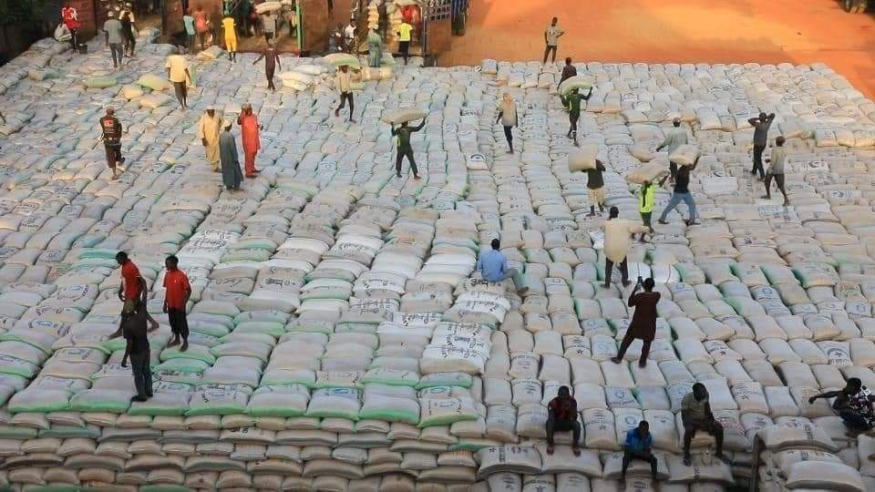 Journalist_Mind's tweet photo. ๐ฅBOOM
Made In Nigeria Rice Paddy Stacked As Pyramids In Abuja , This Is Real. Nigerian Farmers Are Making History. President Muhammadu Buhari Will Officially Unveil It Tomorrow. https://t.co/2OZEkXzjoH