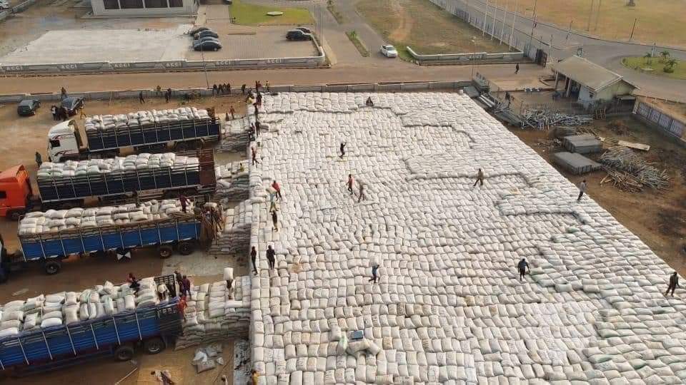 Journalist_Mind's tweet photo. ๐ฅBOOM
Made In Nigeria Rice Paddy Stacked As Pyramids In Abuja , This Is Real. Nigerian Farmers Are Making History. President Muhammadu Buhari Will Officially Unveil It Tomorrow. https://t.co/2OZEkXzjoH