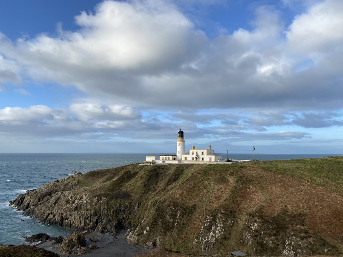 Angel Nemo Newfoundland tweet media