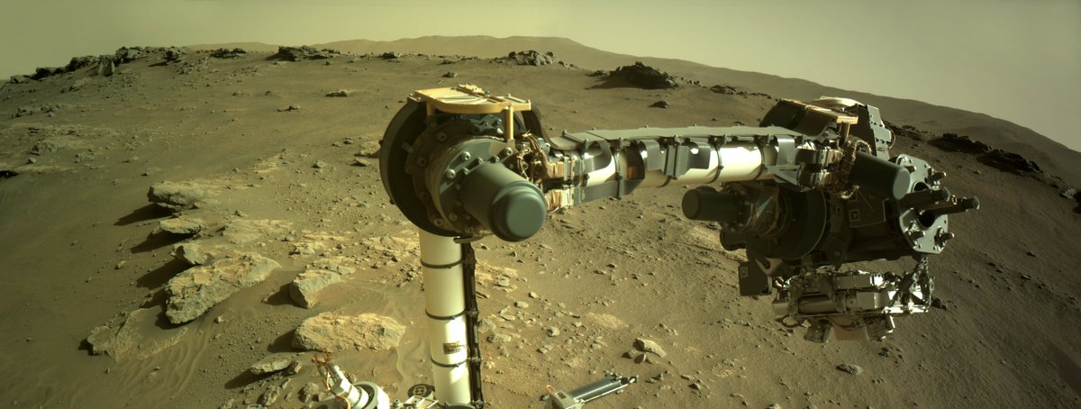 CanberraDSN 📡 tweet media