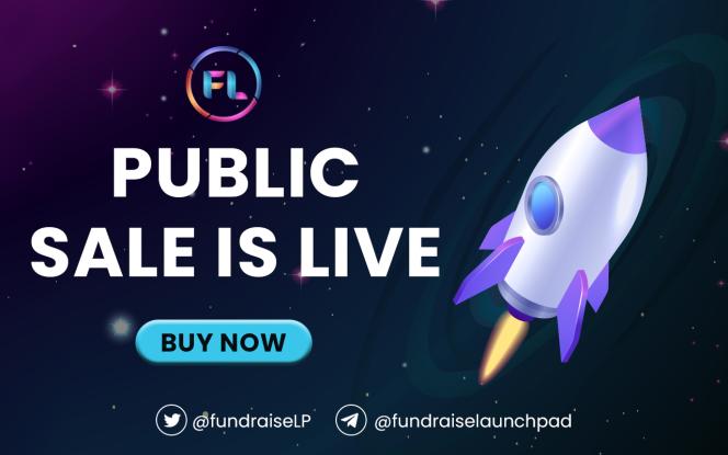 Fundraise Launchpad tweet media
