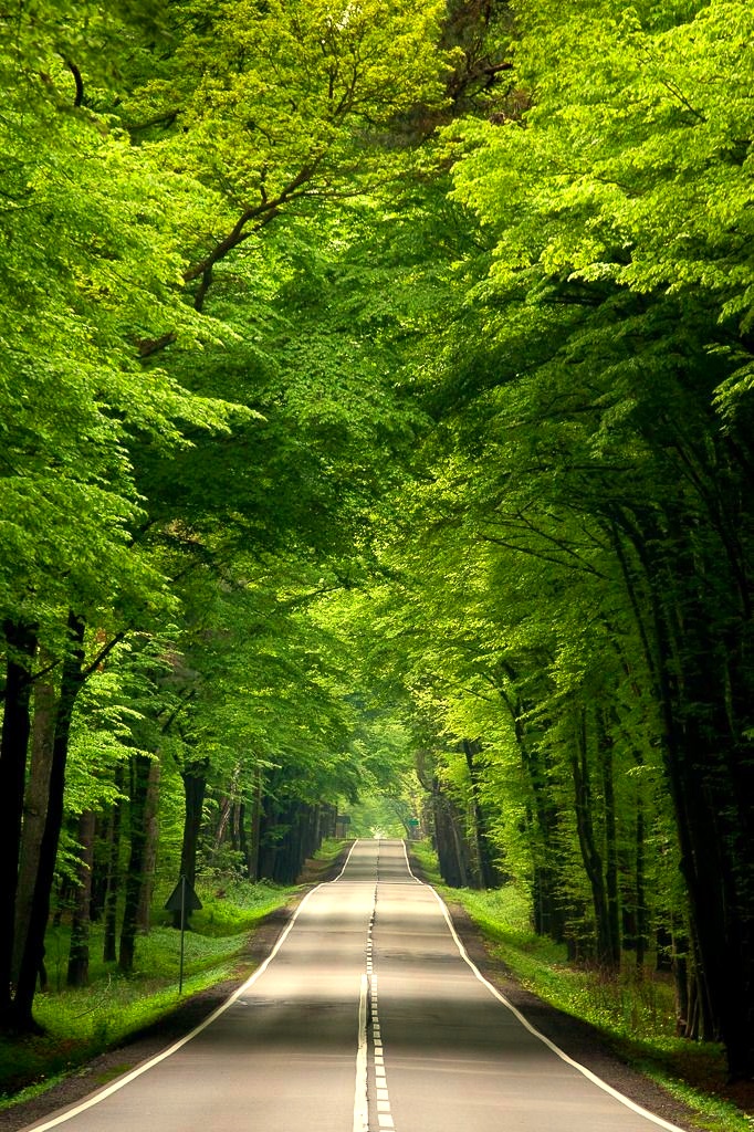 ☔𝑆𝑢𝑚𝑚𝑒𝑟 𝐾𝑒𝑛𝑛𝑒𝑑𝑦🥀❤️ tweet media