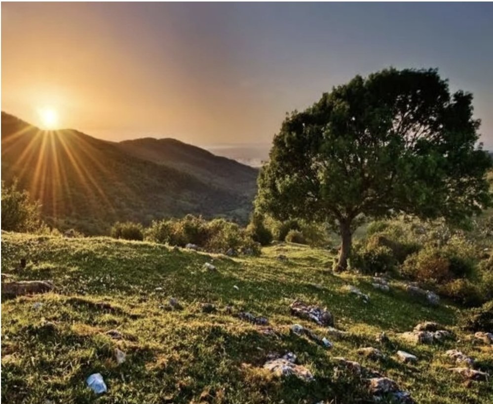DritonAr's tweet photo. Një lindje dielli pas muzgut të natës, pos tjerash për ty jep edhe një mesazh: Ai që ndriçoi horizontin pas asaj errësire,ka fuqi t'i largojë brengat tua e ta ndriçojë shpirtin tënd pas atyre shqetësimeve që të kanë ngushtuar gjoksin për muaj e vite me radhë.#Shpreso në Allahun!. https://t.co/2mbovG6bdc