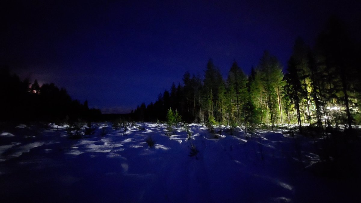 LauriSikanen's tweet photo. Tästä lähtee @LukeFinland CCF-hankkeen jatkuvapeitteisen metsänkasvatuksen tutkimusleimikon hakkuu Paukarlahdessa. Hyvät valot ja pätevä kuski mahdollistaa työn kuun valossakin. Koealat hakataan sitten päivännäöllä. https://t.co/1OAlfRYXgr