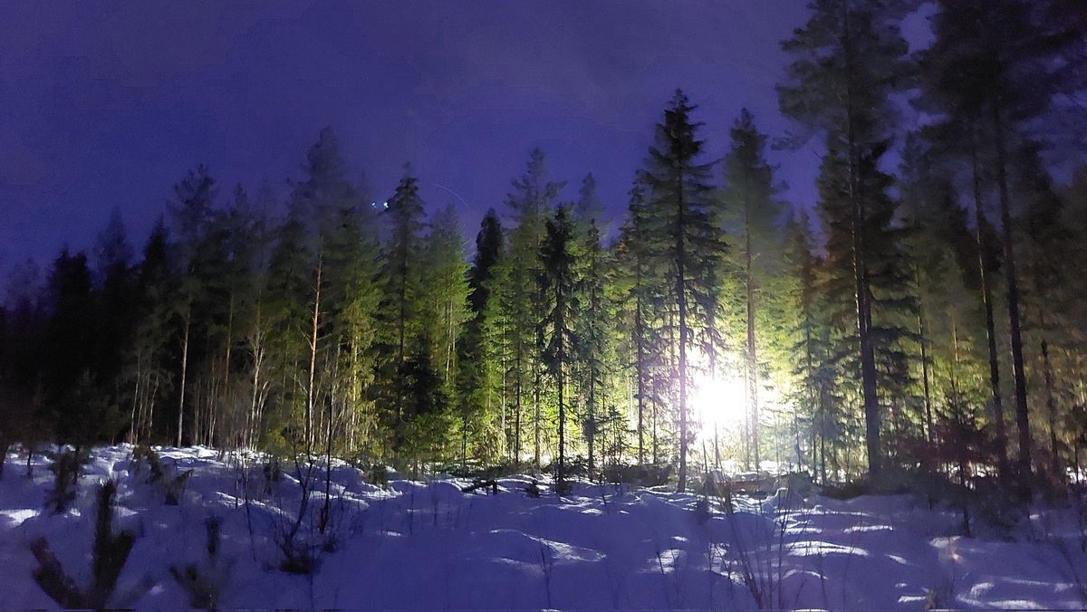 LauriSikanen's tweet photo. Tästä lähtee @LukeFinland CCF-hankkeen jatkuvapeitteisen metsänkasvatuksen tutkimusleimikon hakkuu Paukarlahdessa. Hyvät valot ja pätevä kuski mahdollistaa työn kuun valossakin. Koealat hakataan sitten päivännäöllä. https://t.co/1OAlfRYXgr