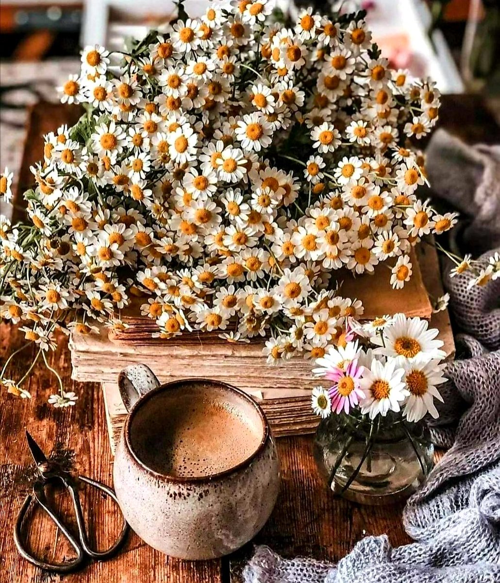 Güüünayyydııınnnnn 
🌼🌼🌼🌼🌼🌼🌼🌼