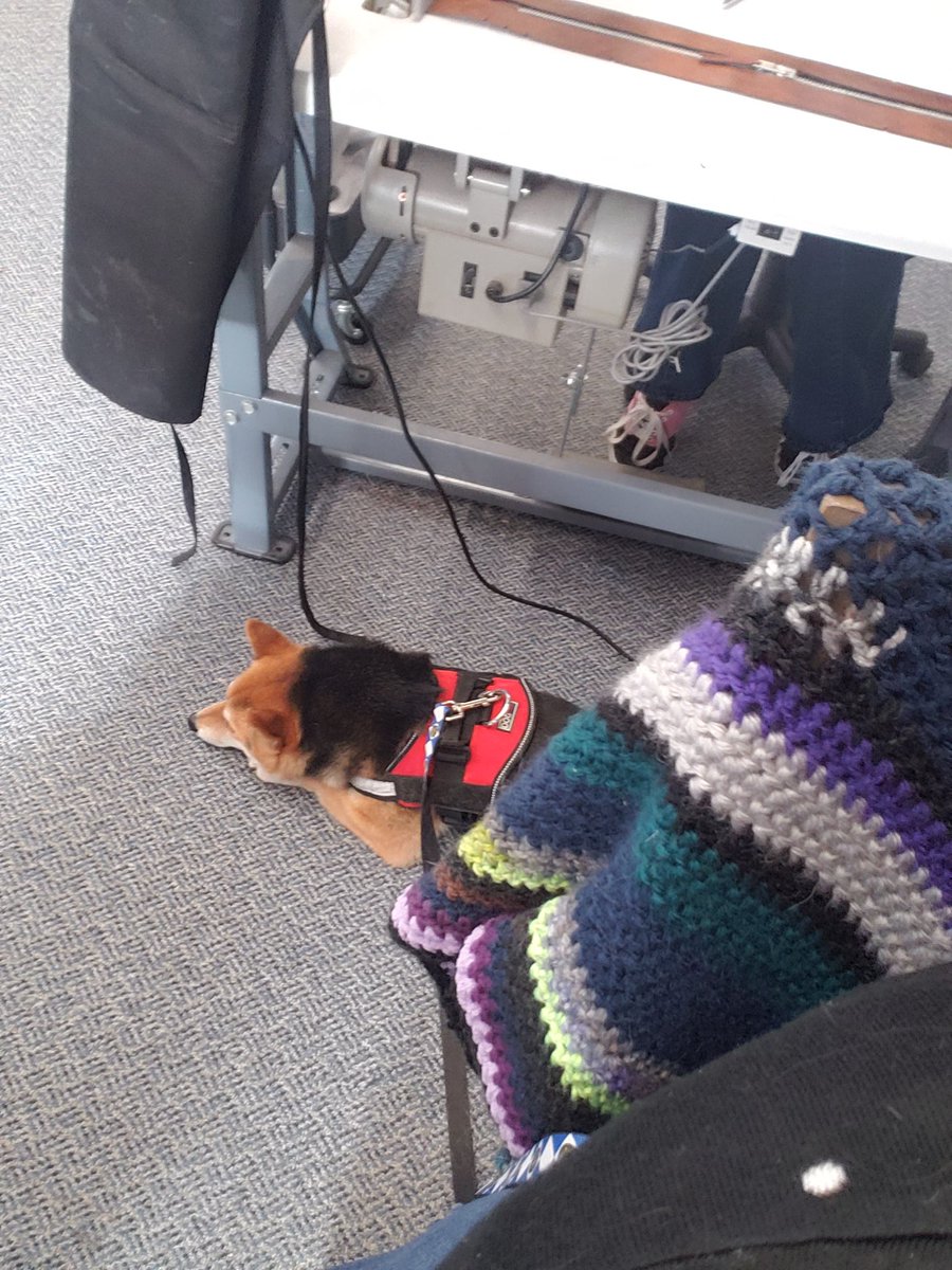 An average day for Kosmo