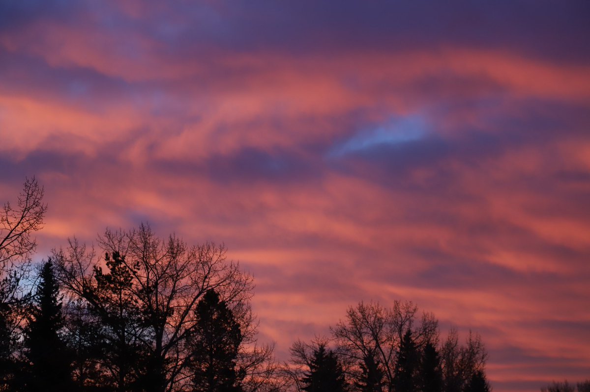 Red Socks Go With Absolutely Anything tweet media