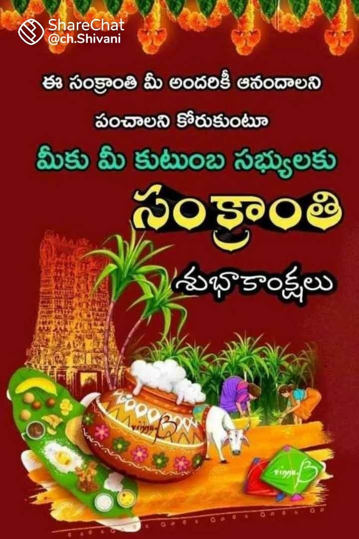 VolgSg's tweet photo. @RGVzoomin https://t.co/wJSUIgIrUe