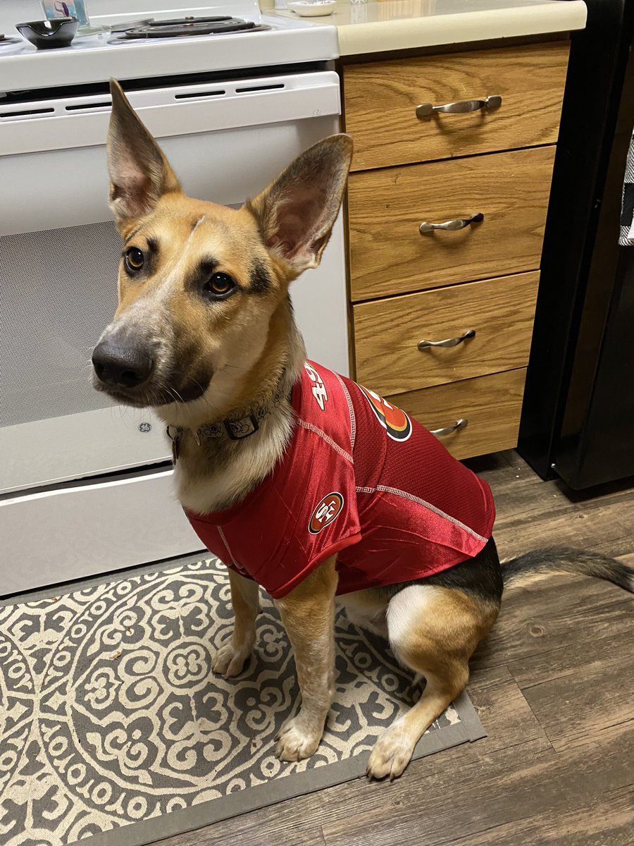 disnerdluvsbsb's tweet photo. Niners!❤️💛 #49ers https://t.co/LxbYpUWFyS