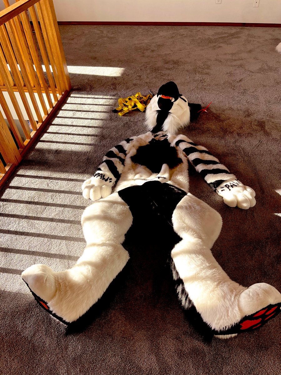 OffYeen's tweet photo. Vibin https://t.co/KapqKO8irr