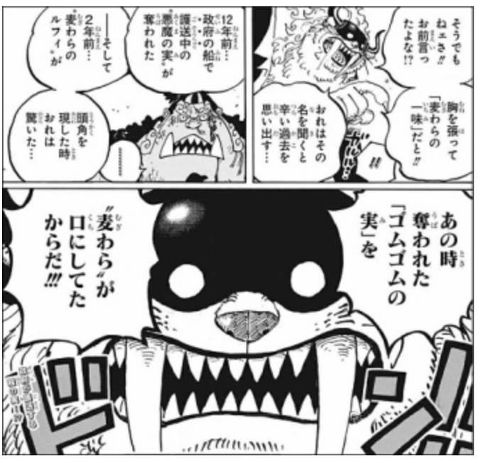 ゴムゴムの実の別名はニカニカの実で太陽と関係 象主ズニーシャはなぜ来たか ぷらいむツリー