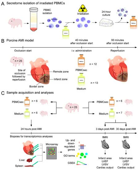 Biology_MDPI's tweet photo. Secretome of Stressed Peripheral Blood Mononuclear Cells Alters Transcriptome Signature in Heart, Liver, and Spleen after an Experimental Acute Myocardial Infarction: An In Silico Analysis https://t.co/Y3hSjYslSF #mdpibiology via @Biology_MDPI @MedUni_Wien @paracelsus_uni https://t.co/NL8t8Cmwz9