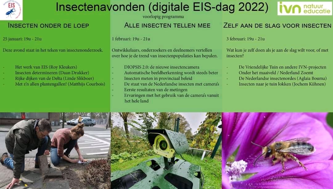 3 insectenavonden EISNedeland IVN Nederland Biodiversiteit in de tuin