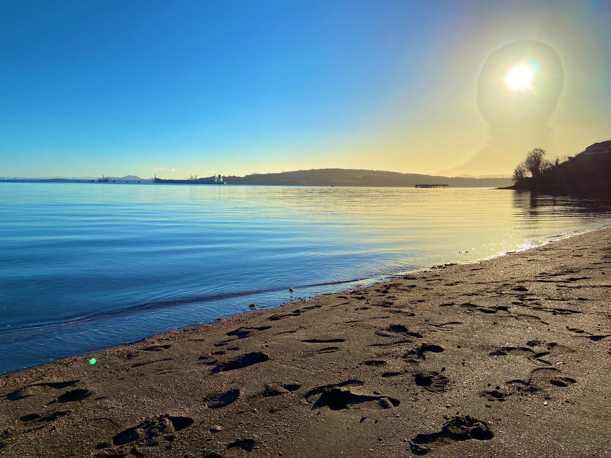 Will Marshall | Composer tweet media