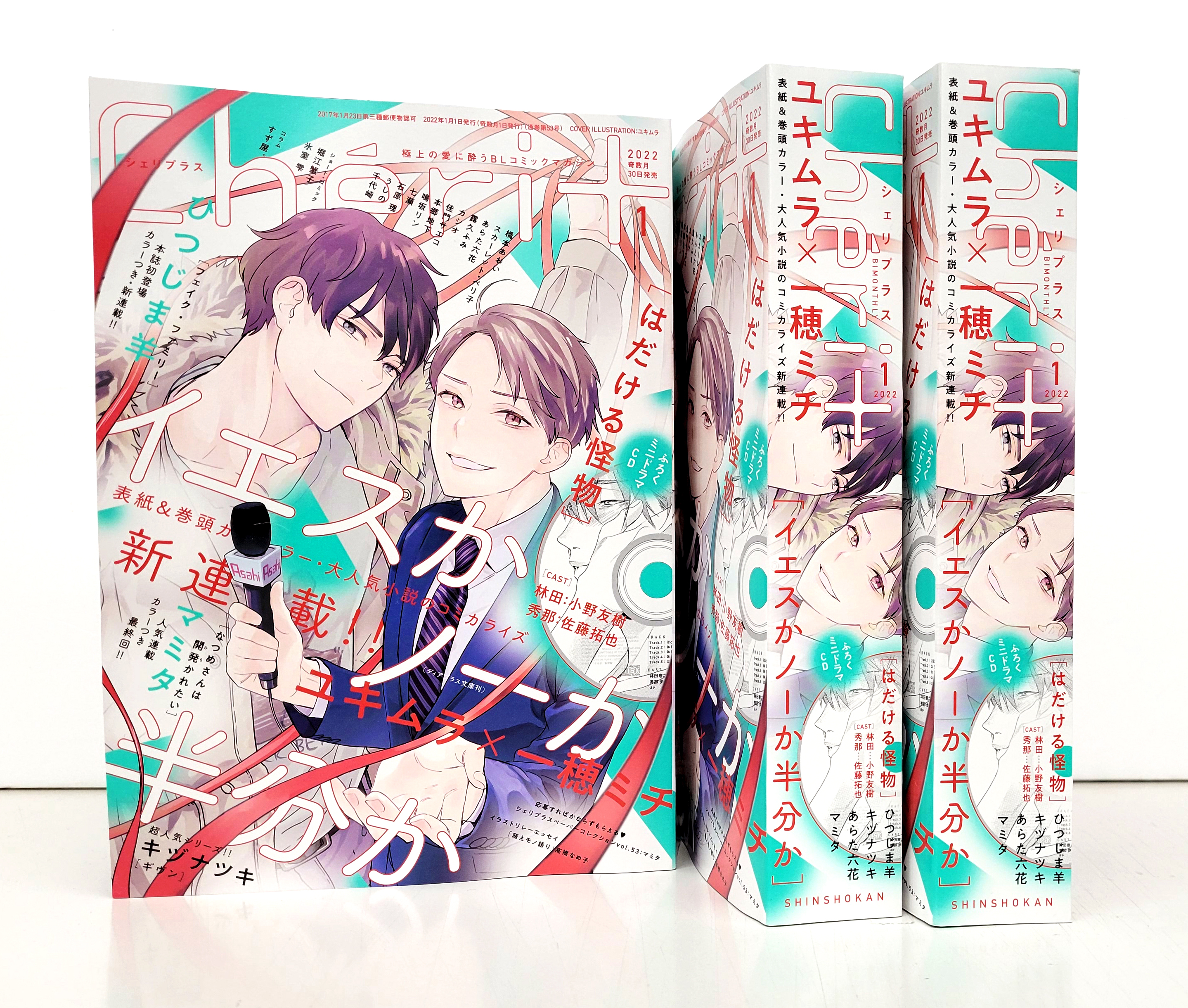 正規品直輸入 2枚 ディアプラスふろく 小冊子 初回特典 Cd 1 6 テンカウント 漫画 Hlt No