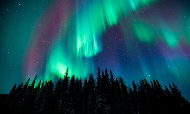 FindMave's tweet image. Namaste 🫂✌🏾