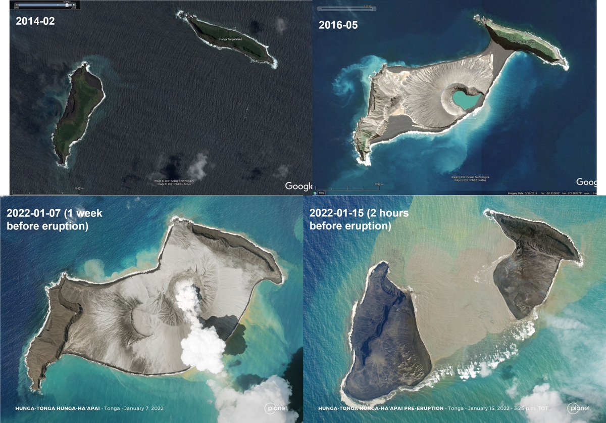 Annie Lau tweet media