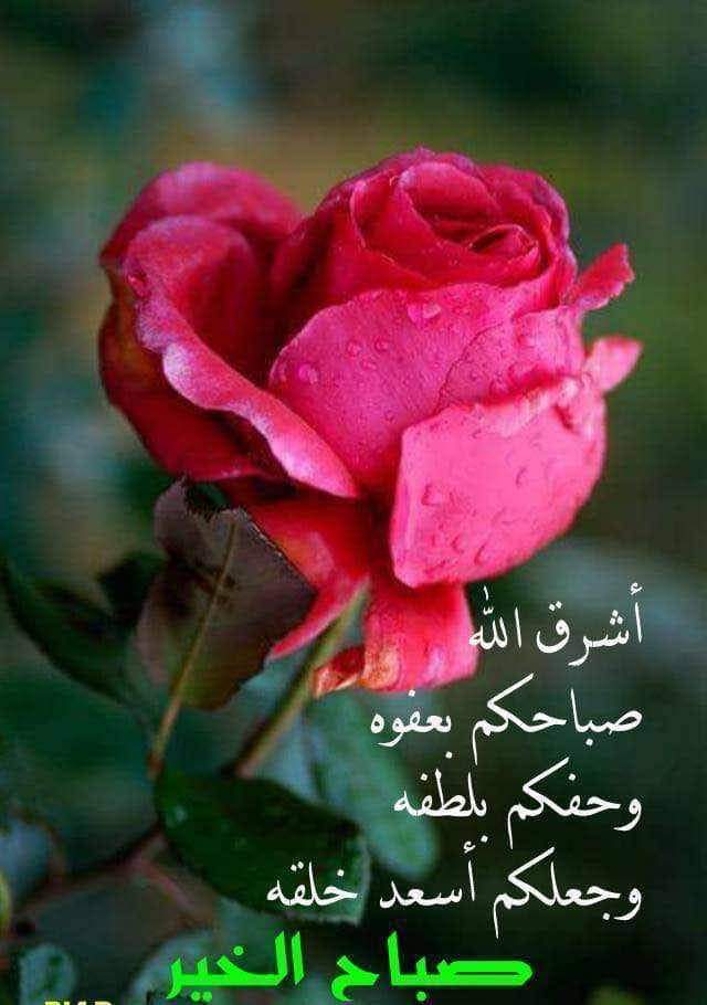<a href="/o3g2IyBoeJoAXVP/">✈د فهد الزهراني اتحادي وناسه😜 مشاكل😎 رجل اعمال😛</a> <a href="/AAneenAL/">انين الذكريات</a> <a href="/HMZAHA1231/">علي الجابري + المدينة المنورة 🇸🇦🤍</a> @KR03449891