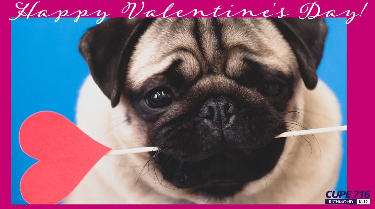 716Cupe's tweet photo. We hope you all get spoiled!!
#cupe716 #ValentinesDay2022 https://t.co/THL0RXAdSn