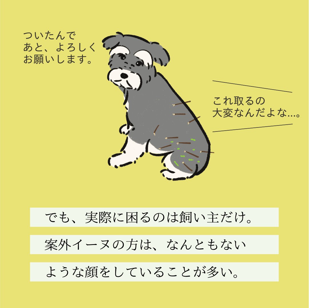 【変な犬図鑑】
No.137 ヒッツキムシーヌ
ひっつき虫をつけるあの犬です。 