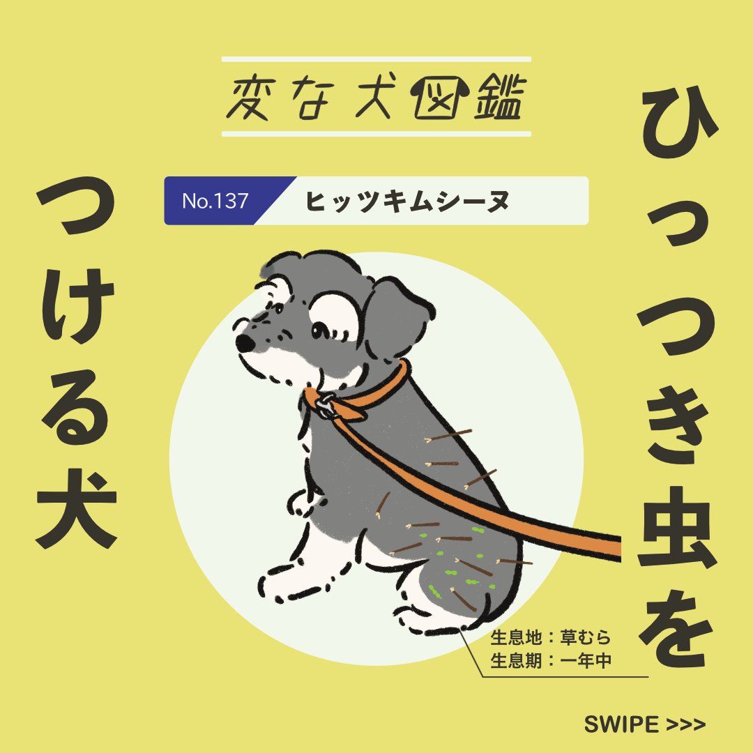 【変な犬図鑑】
No.137 ヒッツキムシーヌ
ひっつき虫をつけるあの犬です。 