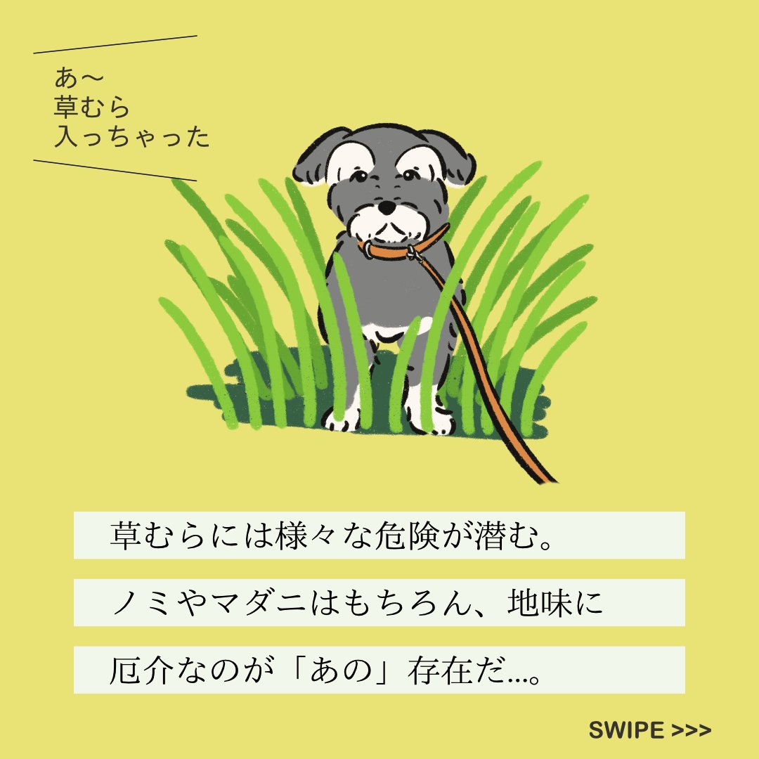 【変な犬図鑑】
No.137 ヒッツキムシーヌ
ひっつき虫をつけるあの犬です。 