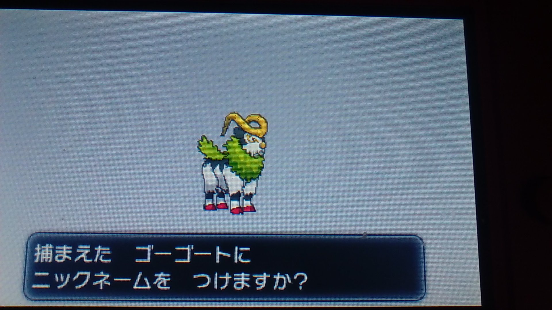 小説ラノベネタ帳ブログ ポケモンxyのフレンドサファリで色違いゴーゴートきたーーーーー 煌めく金色であね ハイパーボールにしましたよ 色違いいっぱ出でて嬉しい T Co Inbb5upitn Twitter