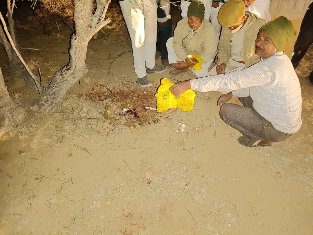 GGajendera's tweet photo. 3 चिंकारा हिरणों का शिकार....
सुजिया की ढाणी, जैसलमेर
राज्य सरकार होश म आओ ।
@bishnoikuldeep @jeevrakshaindia @Hemaram_INC @JS_Bishnoi @ashokgehlot51 https://t.co/ctausWzpNd