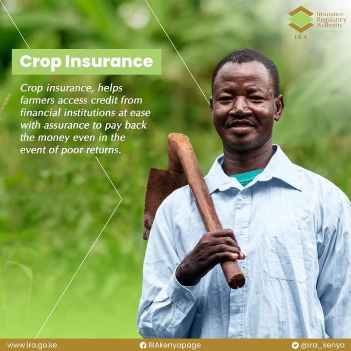 Crop and livestock insurance compensate farmers against uncertainties of animal and crop yields arising from unforeseen risks.  This is a sure way of giving the farmer confidence in making additional investments in agriculture.

#StartRight