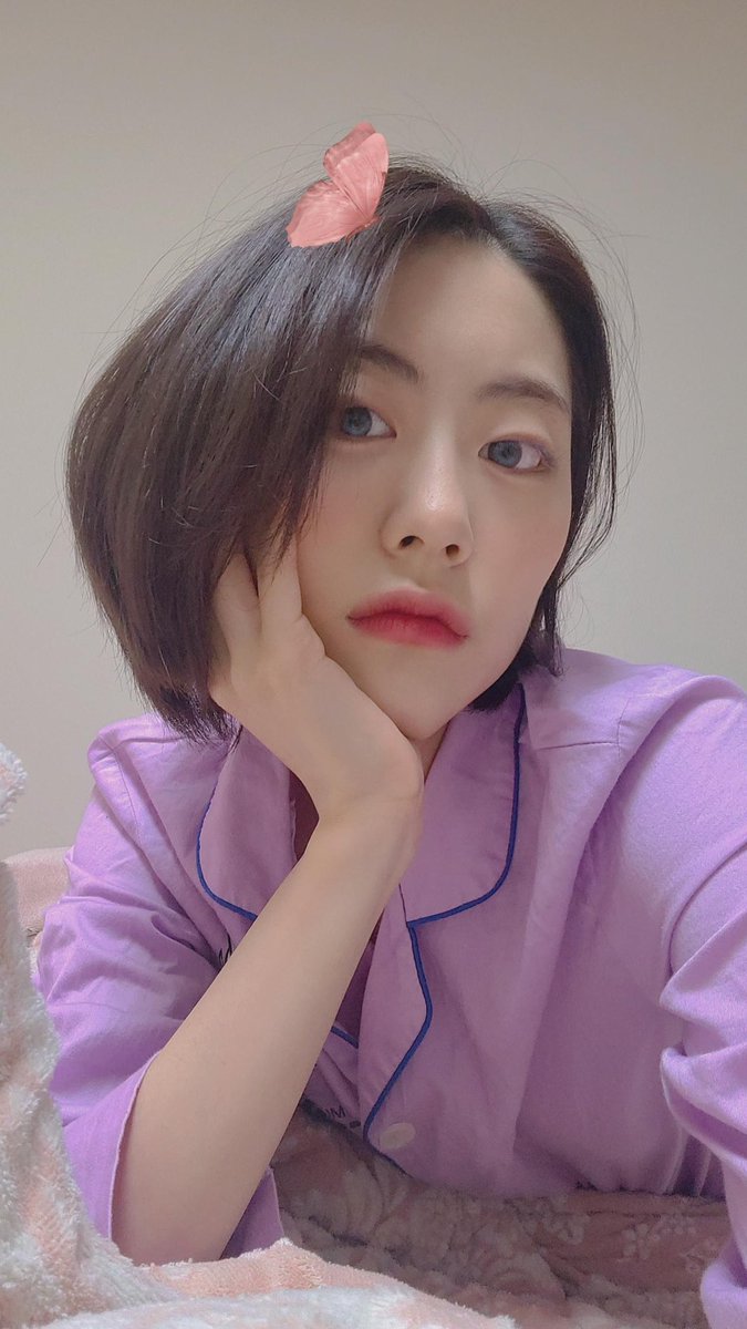 lua_unvrse's tweet image. [🌈✨] 01.13.2022 FNS Update

🦋