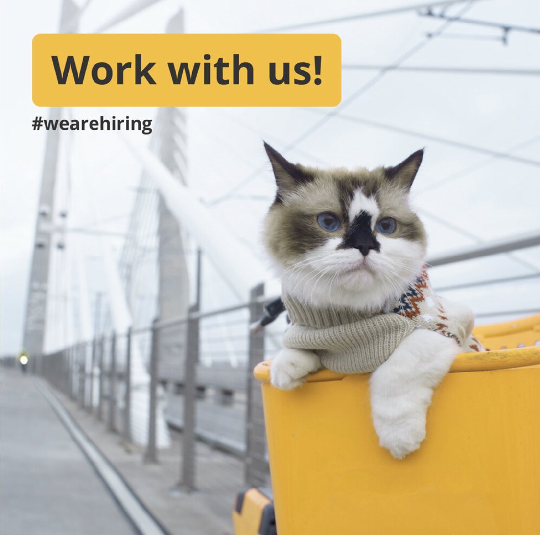 Wir stellen ein! 
Fullstack Entwicklerin mit Lust auf Radverkehrswende, OSM-Daten, Python, React und super nettes Team? Jetzt bewerben! ￼
fixmycity.de/jobs/#senior-e…