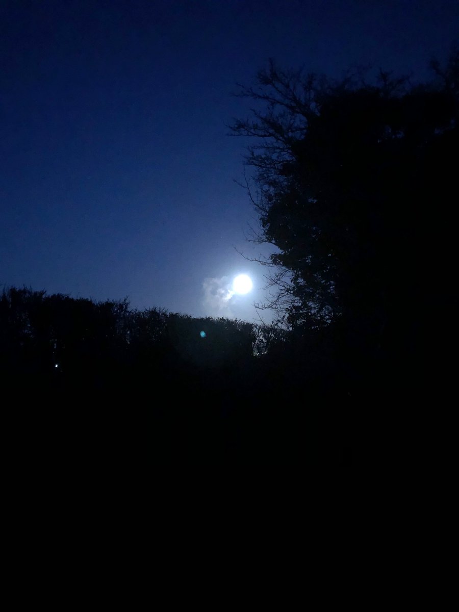 RAVatwork's tweet photo. Moonlit walk to the station on my way to support #CourtauldLibrary colleagues facilitating #HybridTeaching today https://t.co/IpG6pf2rEt