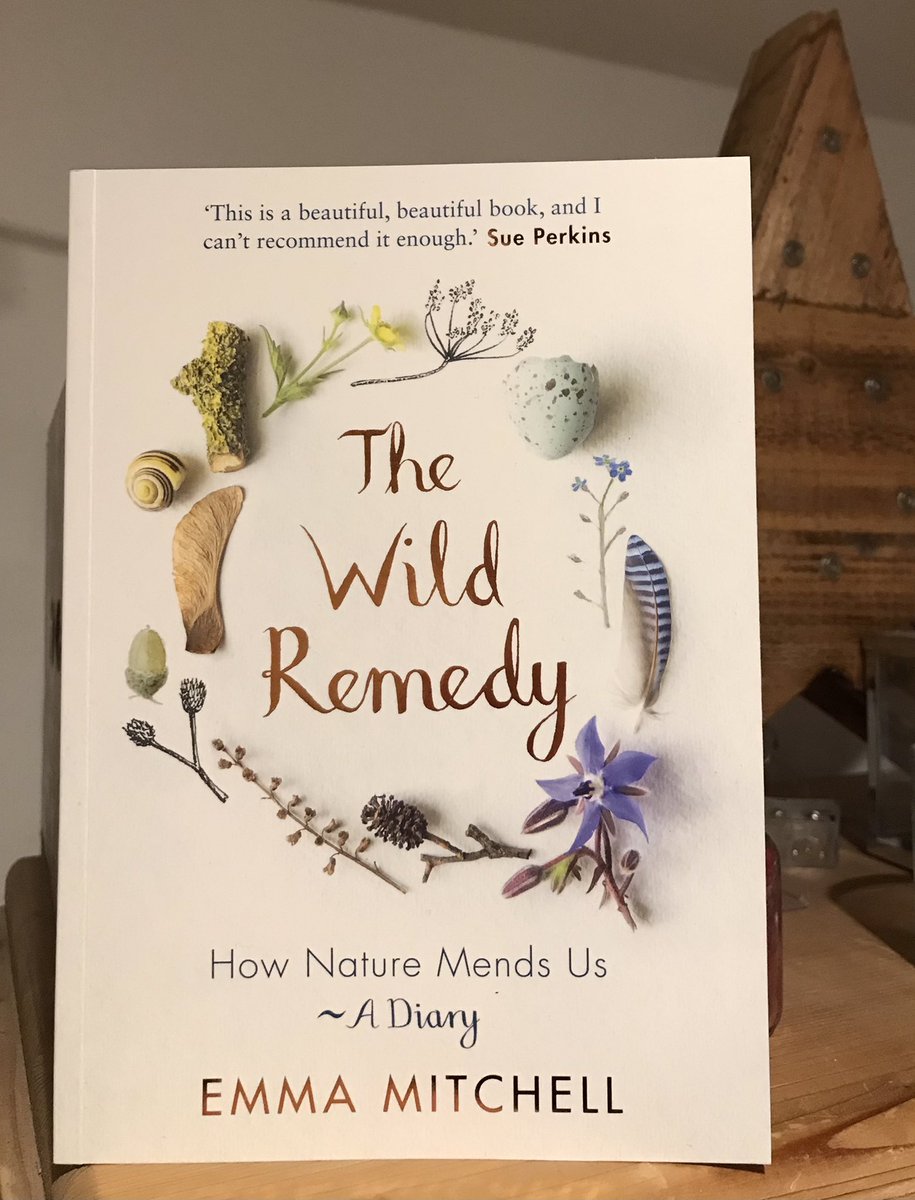 Wendyreadsbook1's tweet photo. Morning 🌷
I’m on the @Lovebookstours @silverpebble @OMaraBooks tour today for the beautiful #TheWildRemedy from #EmmaMitchell
https://t.co/1NwKQHcc1q https://t.co/NNph3JaOT7