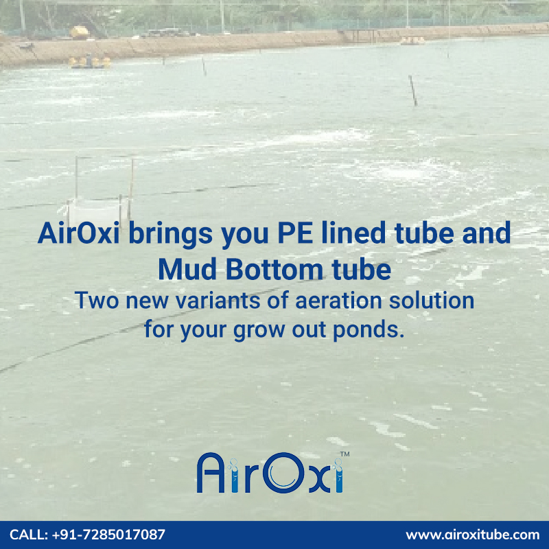 airoxitube's tweet image. Looking for a perfect aeration solution for your grow-out ponds? We have just the solution! Introducing PE lined tube and Mud Bottom tube - A new approach to aeration for your grow-out ponds. Visit: airoxitube.com 
#pelinedtube #growoutpond #aerationsolution #aquaculture