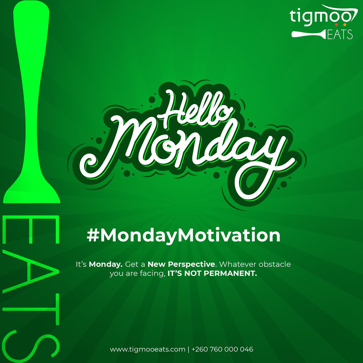 tigmooeats tweet media