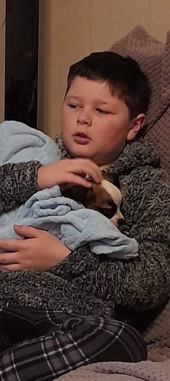 fimi2008's tweet photo. Meet the newest member of our family.....OSCAR 🐶   @SunnysidePri https://t.co/InwWUv4UuU
