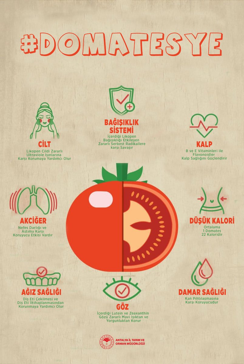 antalyailtarim's tweet photo. #Domates Sağlıktır🍅Yüksek oranda #Likopen ve #Cvitamini içeriği ile iyi bir Antioksidandır. Düşük kalorilidir ve bağışıklık sistemini güçlendirir.
#DomatesYe
#GıdanıKoru #İsrafEtme
#GelecekTarımda
#TarımAntalyada
@gokhankaraca_ https://t.co/5x4e3OjmHa