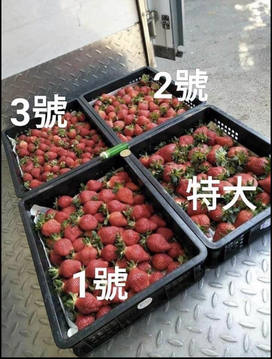 w413413's tweet photo. 大湖草莓-出貨價格每日報價
特大號需要預購不會每天到貨
如果當天收到有問題請拍旁邊標籤
運費依照區域報價 請參考

每籃價格
特大號：$700+20
1號：670+20
2號：620+20
3號：570+20
4號：490+20
籃子另加押金20元，籃子立即歸還退回，煩請自備容器 https://t.co/7TAkdBnzZW