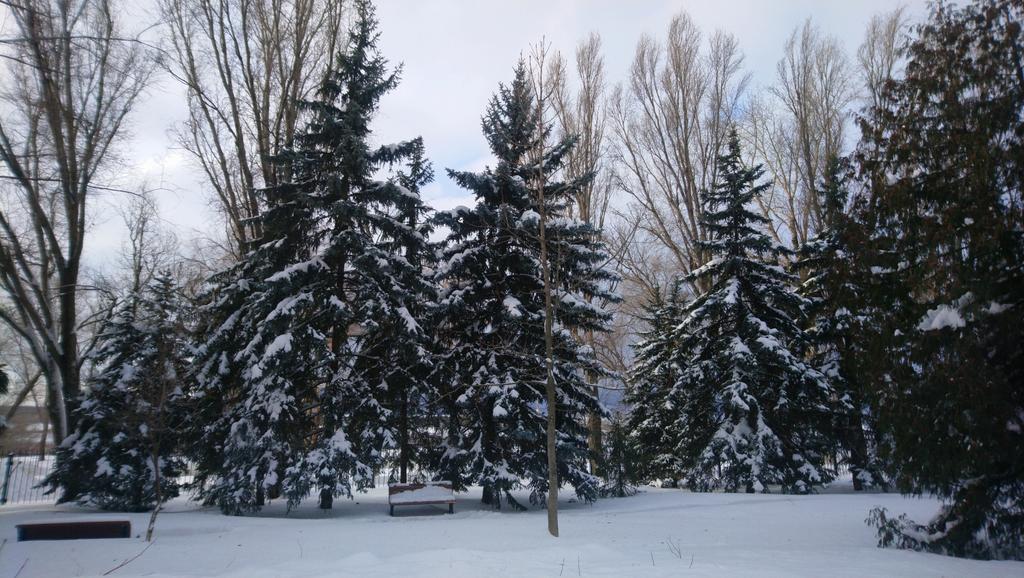 f3y8EfQdyyZh3p7's tweet photo. А у нас зима сказочно красивая! Вы сможете гулять, дышать свежим воздухом и любоваться прекрасными пейзажами. Могучие сосны, белоснежные просторы Волги и Жигулевские горы. Это отличное дополнение к индивидуальной программе Вашего лечения и оздоровления!Ждём встречи! 998-55-70(75) https://t.co/NR4dvPtp9c