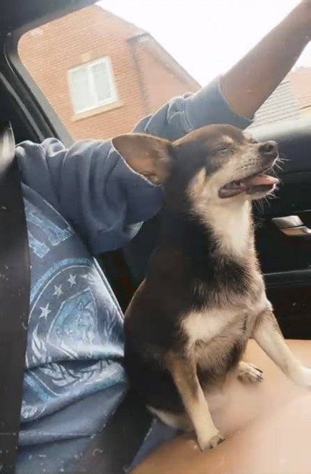 My best friend - we did everything together 💔😭❤️❤️❤️❤️💫💫  Please sign to get these vets dismissed permanently<a href="/tag/nails"class="tags"><span>#nails</span></a><a href="/tag/feet"class="tags"><span>#feet</span></a><a href="/tag/toes"class="tags"><span>#toes</span></a><a href="/tag/footworship"class="tags"><span>#footworship</span></a><a href="/tag/arch"class="tags"><span>#arch</span></a>