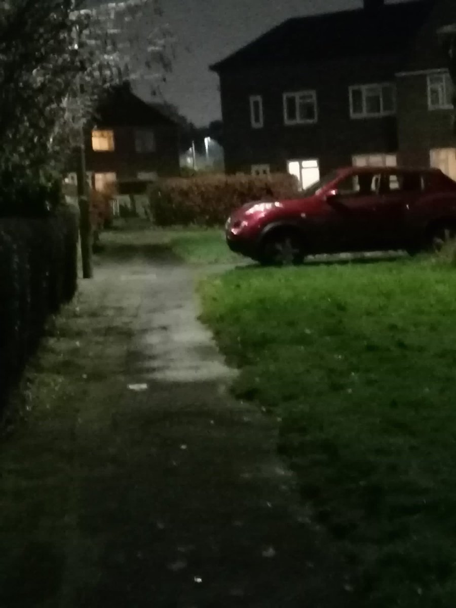 AriaCocker's tweet photo. It was a very peaceful #pawpatrol lastnight. Keeping #Wythenshawe a #safeplace2bee🐝   #DogsofTwittter #zshq https://t.co/fw9XgykTJd