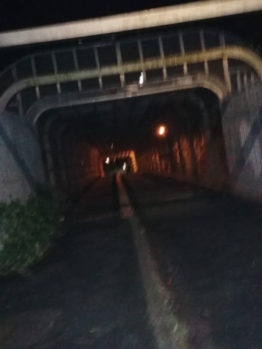 AriaCocker's tweet photo. It was a very peaceful #pawpatrol lastnight. Keeping #Wythenshawe a #safeplace2bee🐝   #DogsofTwittter #zshq https://t.co/fw9XgykTJd