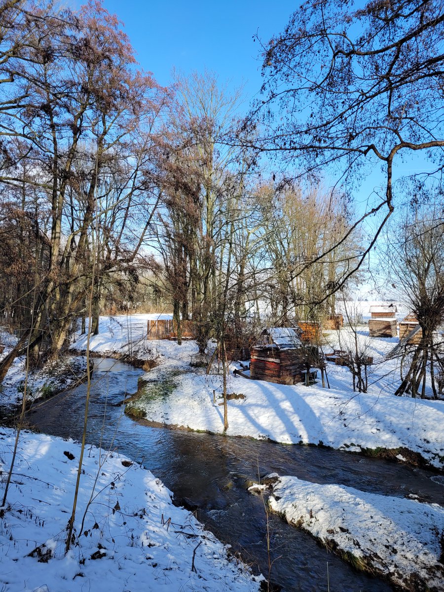ArtLynetteSnow's tweet image. A relaxing winter stream among the sheds.

#winterstream #winter #streams #photography #winterwonderland